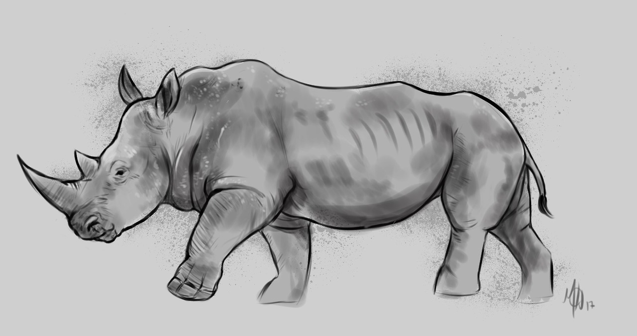 Rhino Bara Tumblr