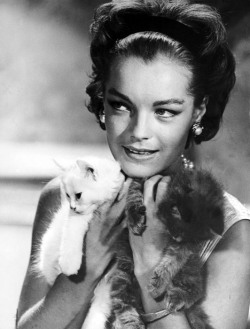  Romy Schneider   