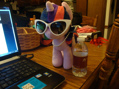 slice-of-life-twilight:  Twilight: Look, Dee! Our blog was featured on Equestria Daily! Dee: Well, that’s a nice surprise! I guess you’re a famous plushie now, Twi, although I’m sure you haven’t let that thought go to your head. Twilight: Of course