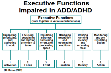 illegallyblondethemusical: illegallyblondethemusical:  who’s gonna tell tumblr that executive dysfunction is more than Not Doing Things?  okay these are the executive functions. impairment of these functions is executive dysfunction  