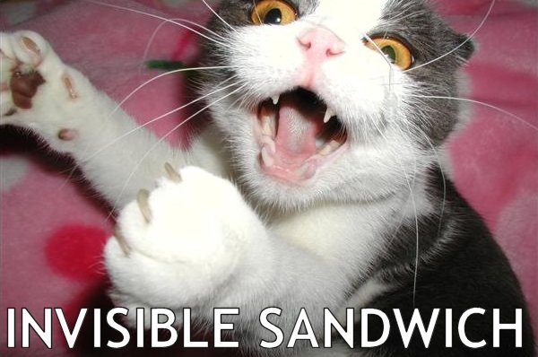 seananmcguire: sophiaslittleblog:  tzikeh:  owl-librarian:  sasgalula:  coolcatgroup: