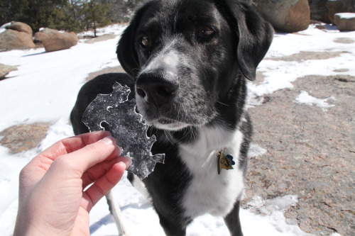 verybluebirdy:I WAS JUST TRYING TO TAKE A PHOTO OF THE COOL PIECE OF ICE AND HE FUCKING EATS IT!!!!!!!!!!!