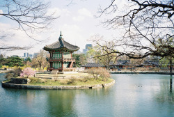 lovesouthkorea:  Hangwonjeong Pavillion, Gyeongbokgung Palace, Seoul  