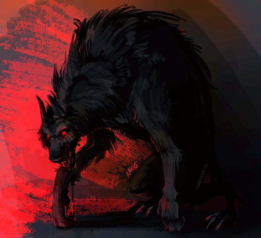weremagnus:  tonight was a scary dog kind of night