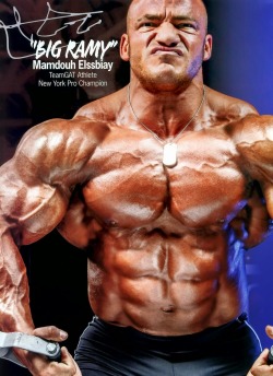 unique-bodybuilding-motivation:  Mamdouh “Big Ramy” Elssbiay