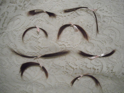 woodlandghosts:  past hair locks