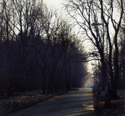 cozyautumnchills:   	Road in Autumn by Andrew