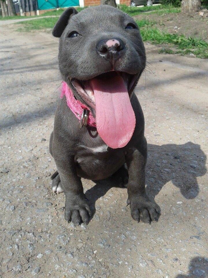 thecutestofthecute:  Via Elizabeth Martin 