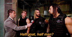 youareajabroni-deactivated20170:  The Shield and their thoughts on ponies, horses,
