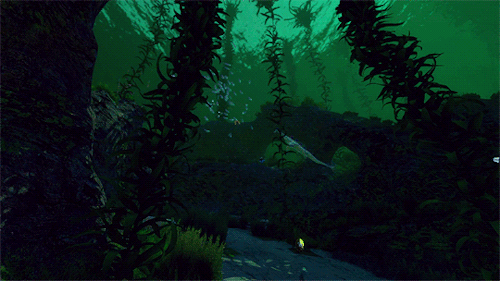 entreri: Subnautica » Kelp Forest  