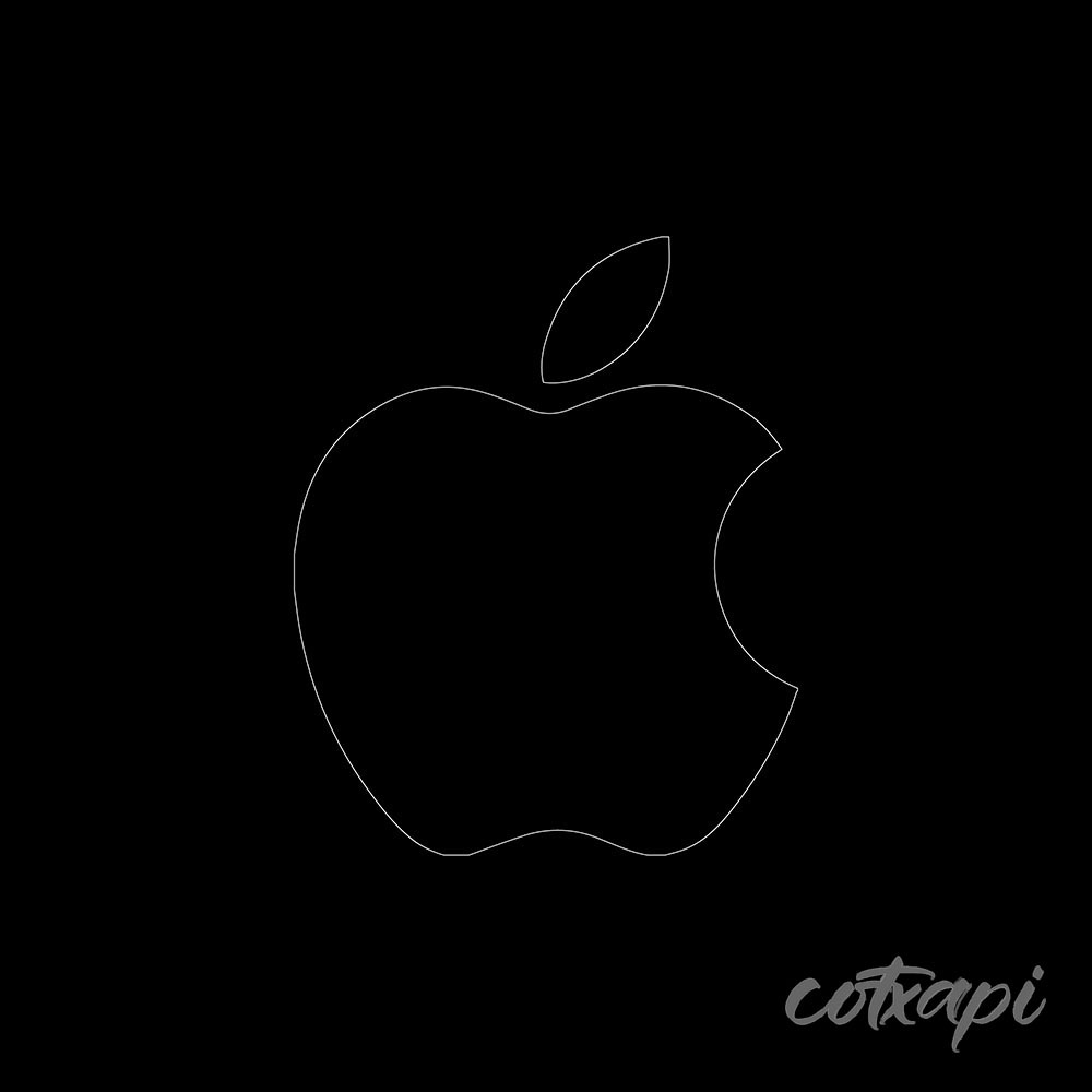 Apple Icon in Black and White Vector Art Apple Illustration Outline Art