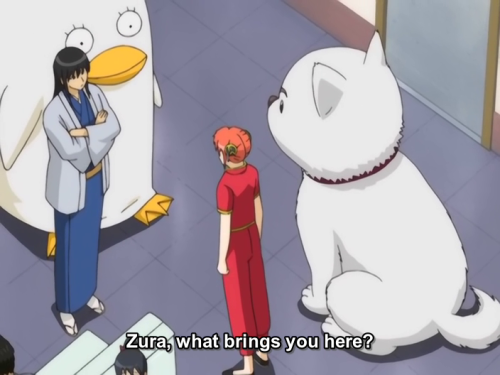 SOMEONE PLEASE STOP THIS SHOW