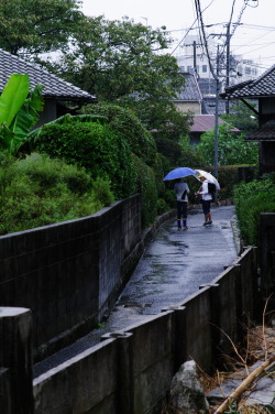 ありがとう。