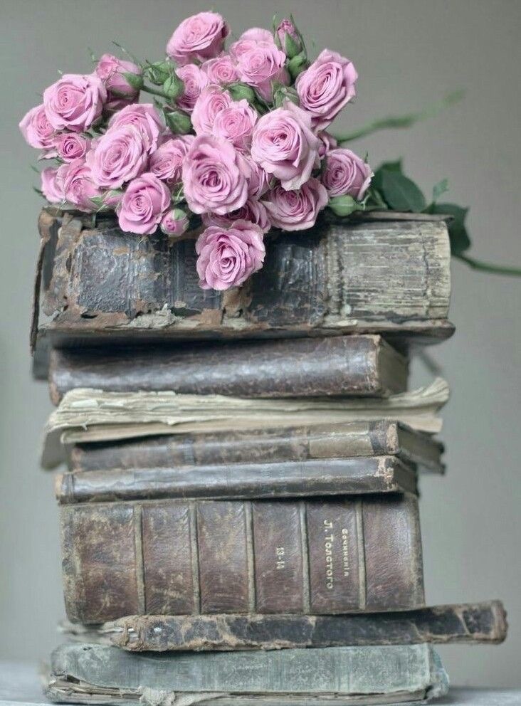 laceandsilk:  This photo is me in object form.