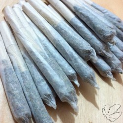 weedporndaily:  Sticks and seeds may break my joints but weed will never hurt me #weedporndaily #stayregular #superstoners by @therealwpd