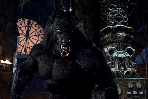 Even A Man Who Is Pure In Heart And Says His Prayers By Night, May Become A Wolf When The Wolfbane Blooms