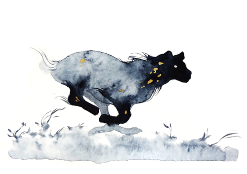 elodieunderglass:trebornosnibor:elk64:Some of the watercolor I did the last week.  Not golden gouach