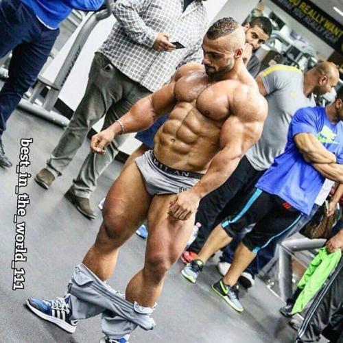 musclerox27:  luvmanli:Galal Zakaria Want That….