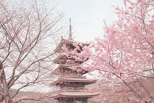 plumu:  Japanese tower (by HelenHaung)