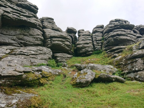 Hound Tor. Dartmoor, Devon, England