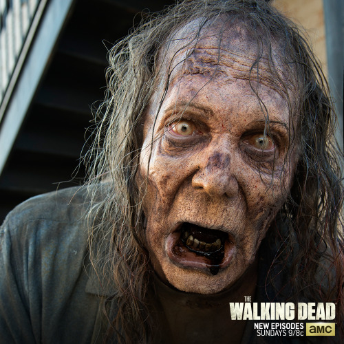 Porn Pics thewalkingdead:    Greg Nicotero has turned