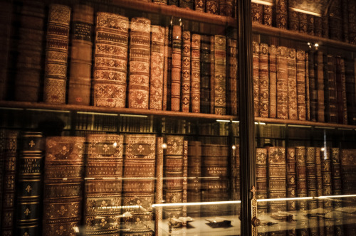 marlessa: Magnificent book cabinet in the Château de Chantilly 