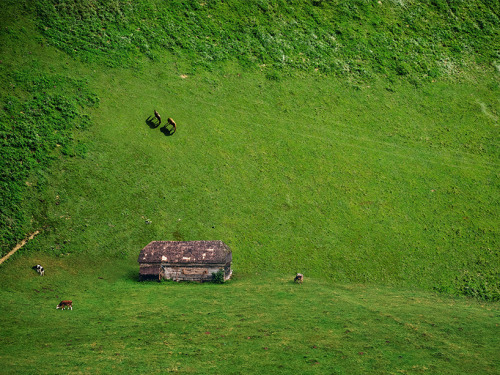 culturenlifestyle:Laurent Rosset Defies The adult photos