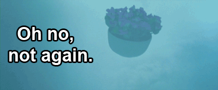 1 DAY LEFT! The panic begins.