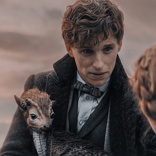 Newt