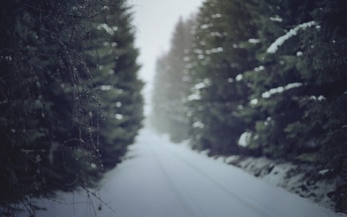 rudolfvlcek:Winter Road