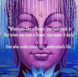 purplebuddhaproject:  http://ift.tt/1XI0MzW