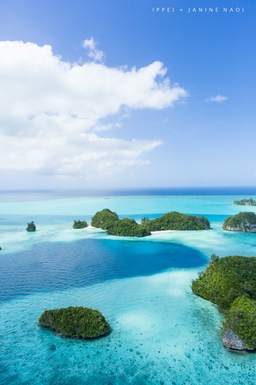 drxgonfly:Inaccessible paradise islands, Palau, Micronesia (by Ippei & Janine Naoi)
