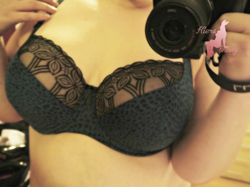 A Plus Size World
