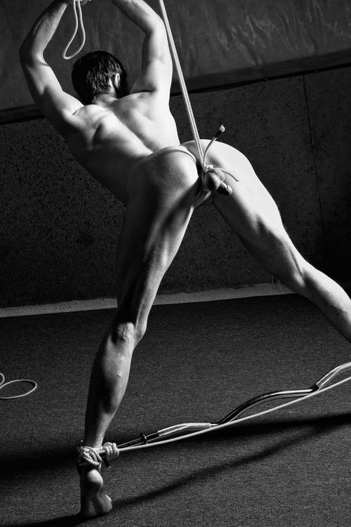 mistress-mary:  Now that’s a nice spreader bar. 