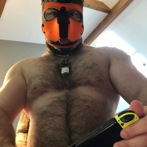 cruzethebear: Just a puppy having a fun time playing resident evil! May look at fortnight or paladin