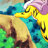 ap-pokemon:#243 Raikou - Embodies the speed of lightning, with a roar that sounds like crashing thun