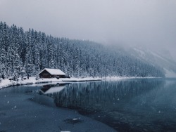 expressions-of-nature:  Lake Louise, Alberta by xxandresenxx