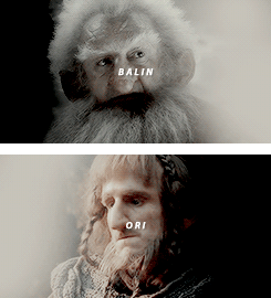 remusjohnslupin:  The Company of Thorin Oakenshield 