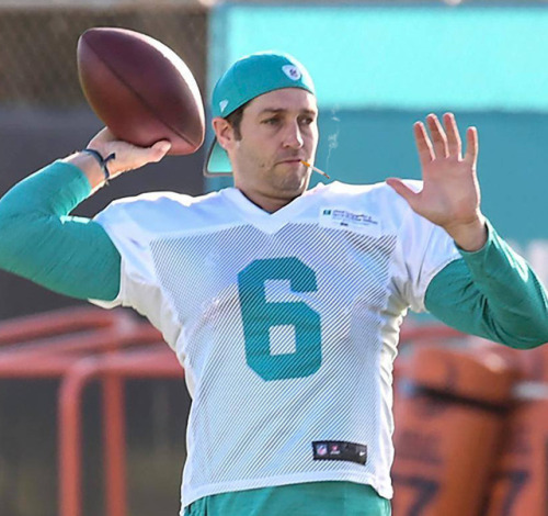 jay cutler miami dolphins jersey