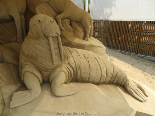 “Artic Animals”Tottori Sand Museum, Japan, March 2018.