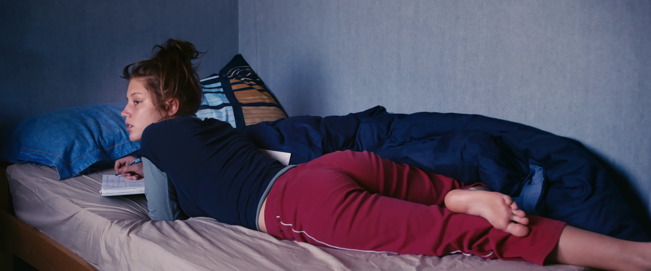 menidon:  Blue Is the Warmest Color (2013) by Abdellatif Kechiche 