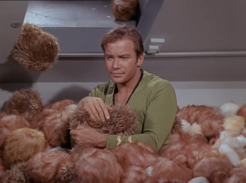 tribbles