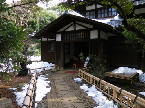 bluefumi: 昨日は東京もいきなりの雪。以前、珍しく大雪が降った翌日旧前田家本邸の和館を訪ねてみました。わざわざそんな日に行くなよ、って感じですが(^_^;;窓越しの雪景色がとってもキレイでした