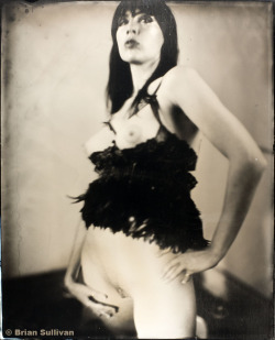 b7lab:  16x20" Tintype - Stephanie 2014