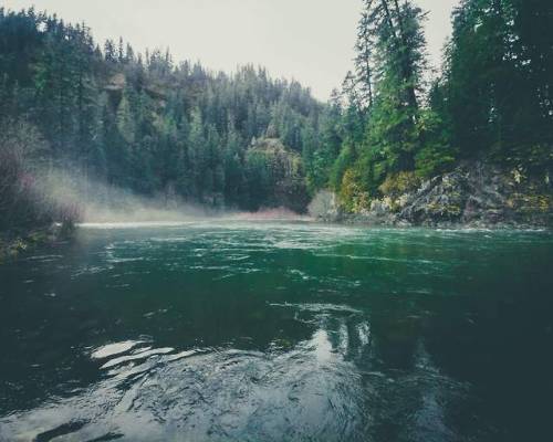 Oregon - Clackamas River February 2018