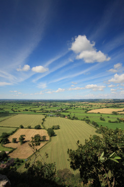 wanderthewood:  Cheshire, England by jon9600