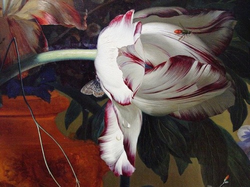 setdeco:JAN VAN HUYSUM, Detail of “Vase of Flowers”, Amsterdam, Netherlands, 1722