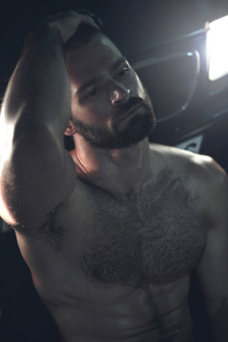 hairy-chests:  http://hairy-chests.tumblr.com/