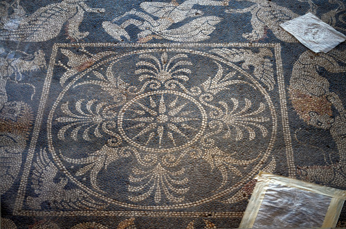 greek-museums:Archaeological Site of Eretria/ House of Mosaics:Mosaics from the House of Mosaics, fr