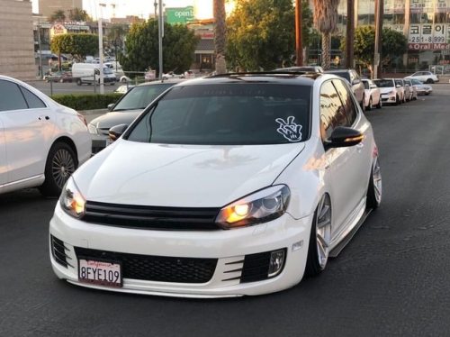 Chillin’ like a chinchilla @xander_mk6 US Rubadub Fam_____________________ Shop our goods at: RUBA